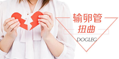 检查输卵管扭曲多少钱