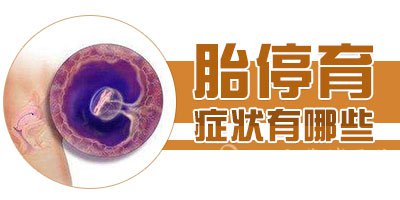 胎停育症状